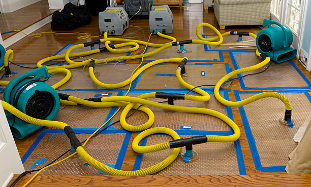 Professional Burst Pipe Water Damage technician working in Mansfield, MA